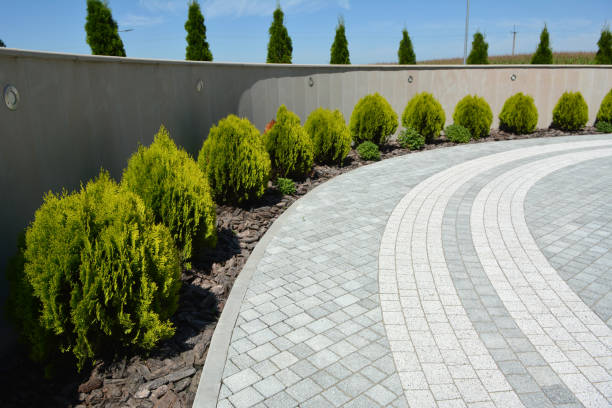 Best Decorative Driveway Pavers  in Lawrencevle, IL